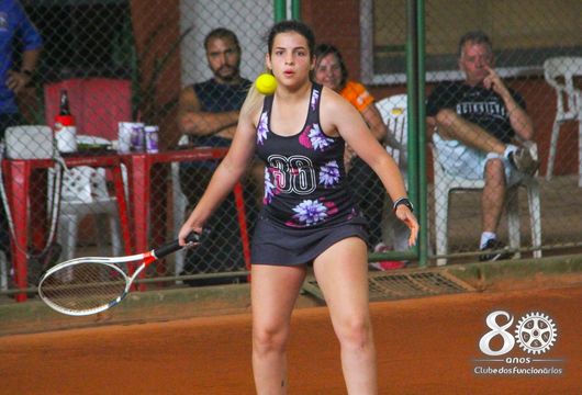 Descrição da Imagem 1